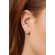 25406 -modelo-